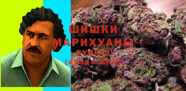 прущие грибы Вяземский