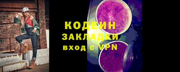 прущие грибы Вяземский