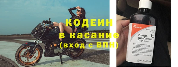 прущие грибы Вяземский