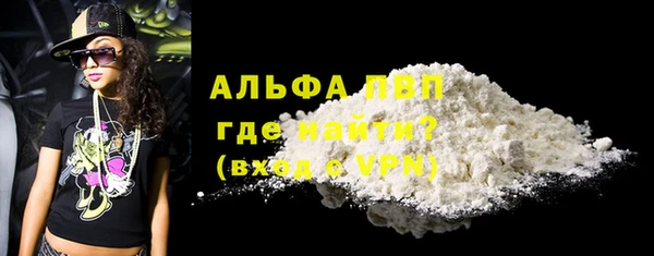 прущие грибы Вяземский
