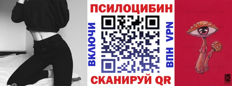 цены наркотик  Новомосковск  Псилоцибиновые грибы MAGIC MUSHROOMS 